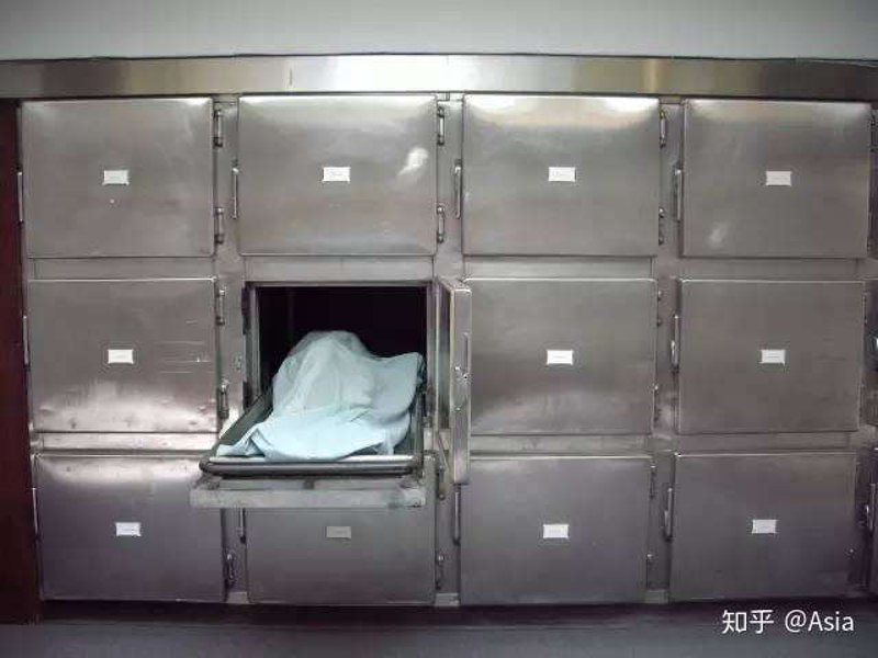 冷藏柜市场新动态:以泊头尸体冷藏柜为例